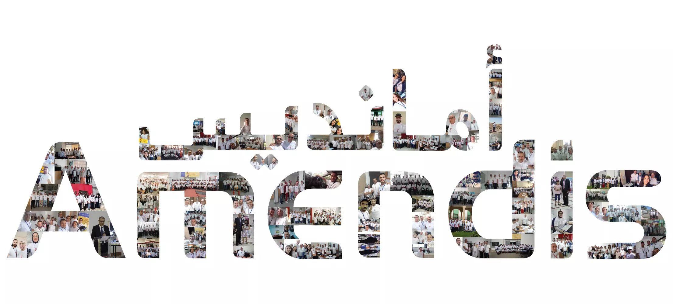 Logo Amendis