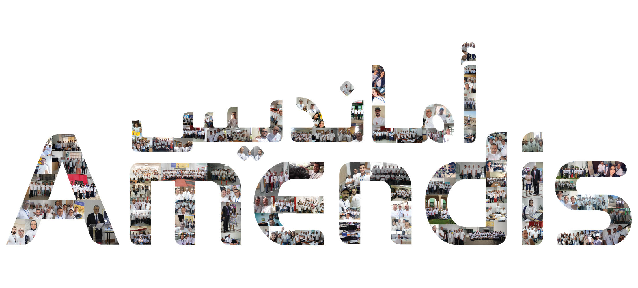 Logo Amendis